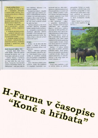 4. část článku